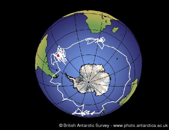 Geolocator track showing the migration route of a female grey-headed albatross.