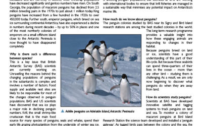 Penguins briefing thumbnail