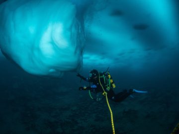 Emma Bolton diving underneath sea ice at Rothera