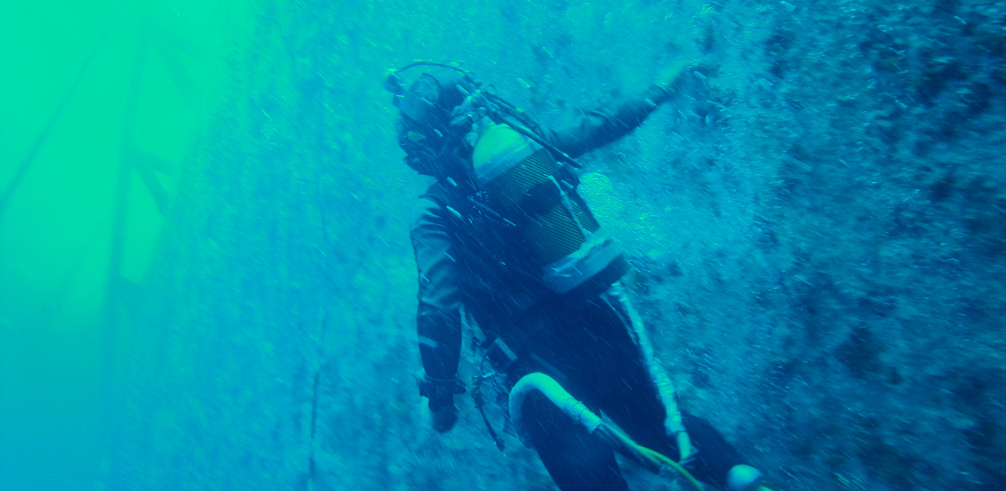 A person swimming in the water.