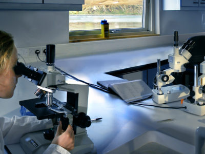 BAS marine scientists Judith Dickson and Simon Morley (Snr Scientist) working in the dry lab at King Edward Point Research Station, South Georgia.