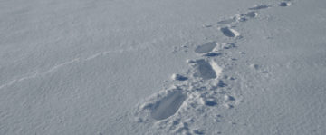 footprints in the snow