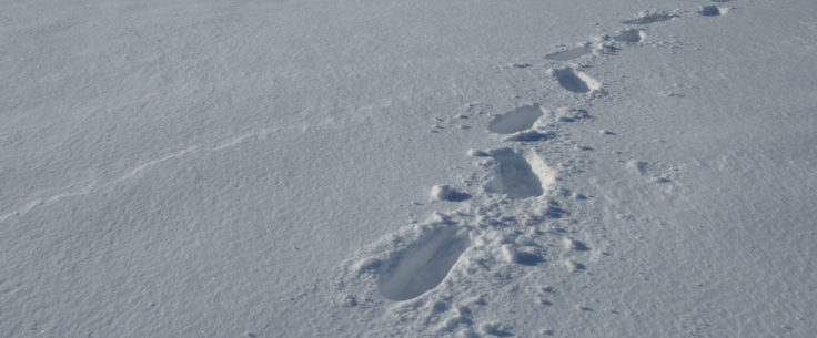 footprints in the snow