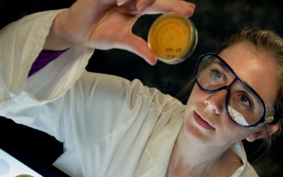 A scientist looking up examining a petri dish