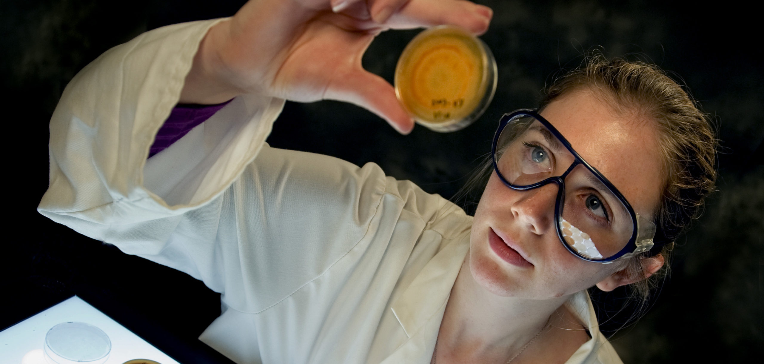 A scientist looking up examining a petri dish