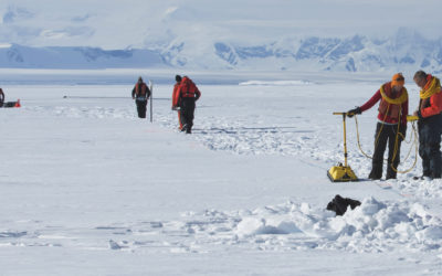 A group of people riding skis on top of a snow covered slope.