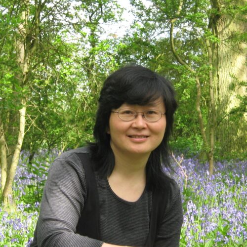 Profile picture Hua Lu