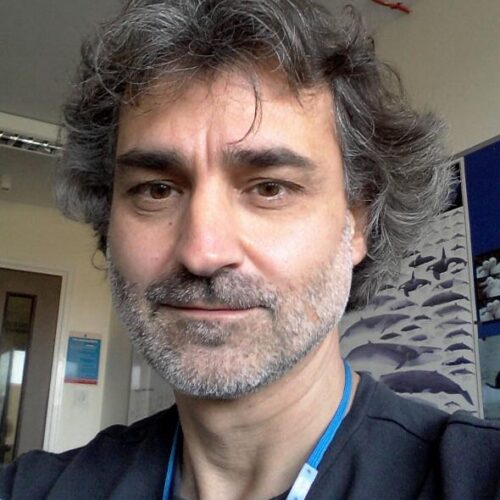 Profile picture Jaume Forcada