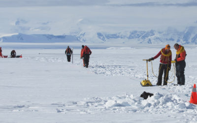 A group of people working in a snowy landscape