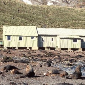 BAS Research Station at Bird Island