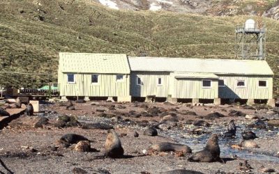 BAS Research Station at Bird Island
