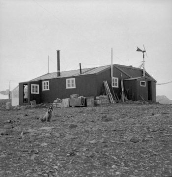 Main hut, Admiralty Bay Station, 1951. (Photographer: Roger Todd-White; Archives ref: AD6/19/2/G176)