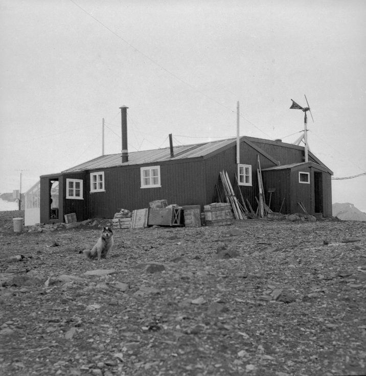 Main hut, Admiralty Bay Station, 1951. (Photographer: Roger Todd-White; Archives ref: AD6/19/2/G176)