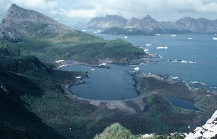 View of Bird Island research station from the top of Stejneger Peak with South Georgia in the background
