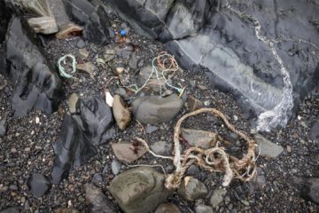 Plastic debris on a beach at Bird Island