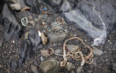 Plastic debris on a beach at Bird Island