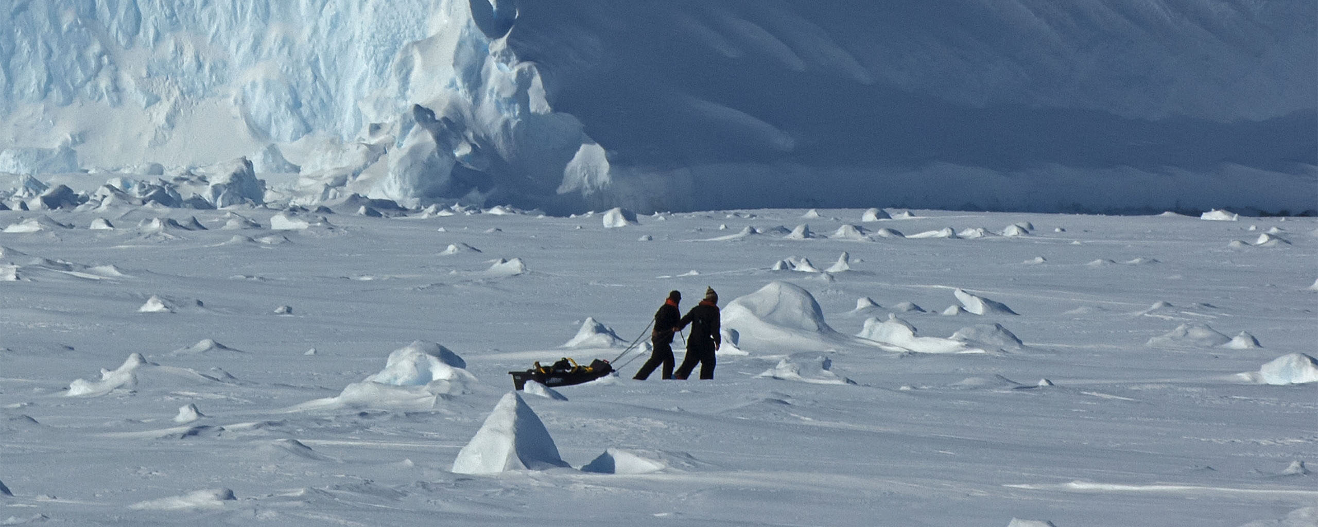 scientists on sea ice