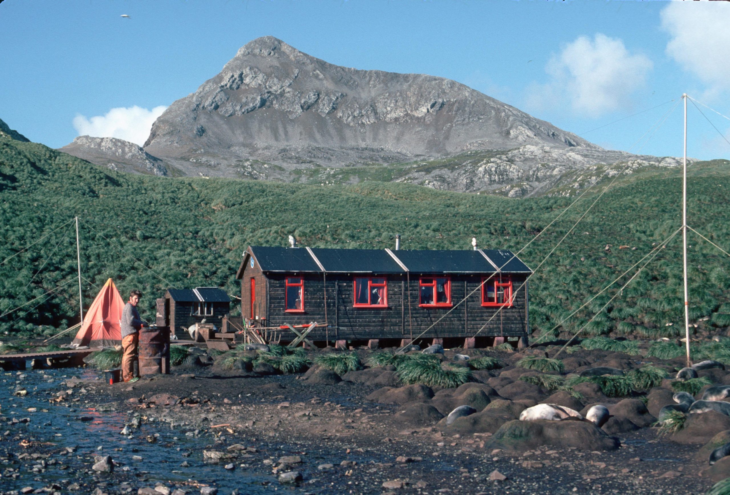 History of Bird Island (Station BI) British Antarctic Survey