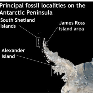 Principal fossil localities on the Antarctic Peninsula