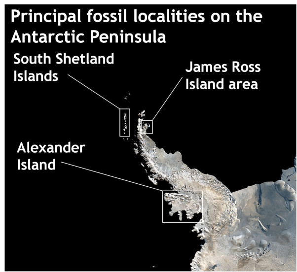 Principal fossil localities on the Antarctic Peninsula