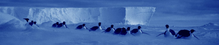 discovering Antarctica page header image