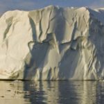 A bird standing on top of a mountain.