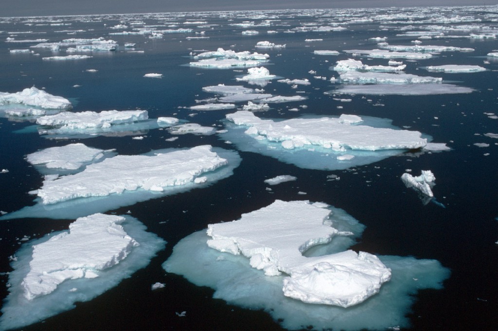 Pack ice in the Weddell sea