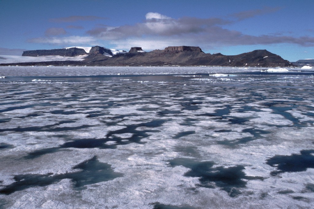 Melting sea icewith melt pools and snow-free terrain, Antarctic Peninsula.