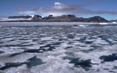 Melting sea icewith melt pools and snow-free terrain, Antarctic Peninsula.