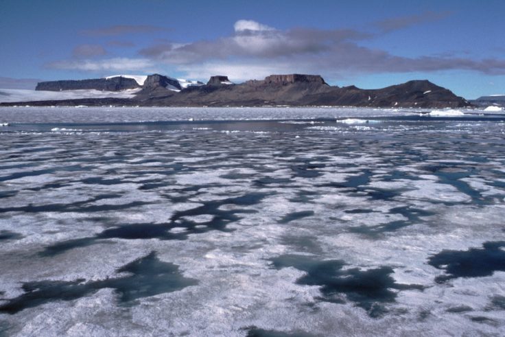 Melting sea icewith melt pools and snow-free terrain, Antarctic Peninsula.