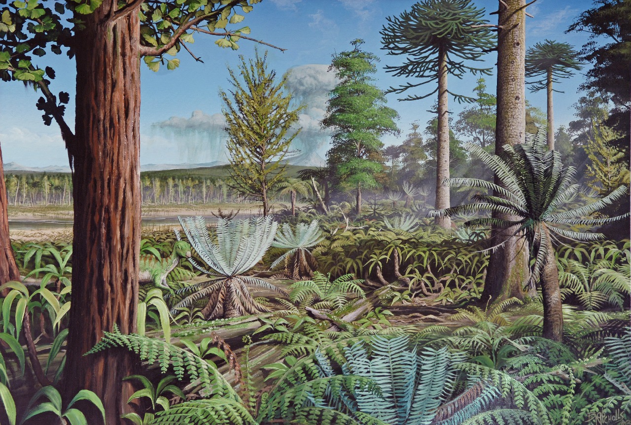 mesozoic era plant life