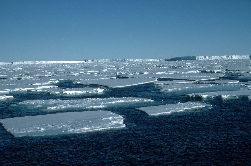 Pack ice infront of the Brunt Ice Shelf