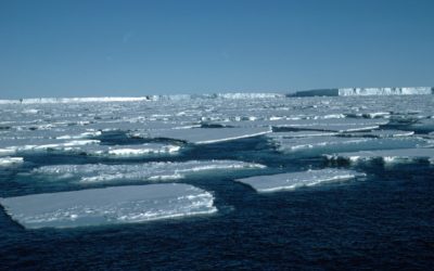 Pack ice infront of the Brunt Ice Shelf