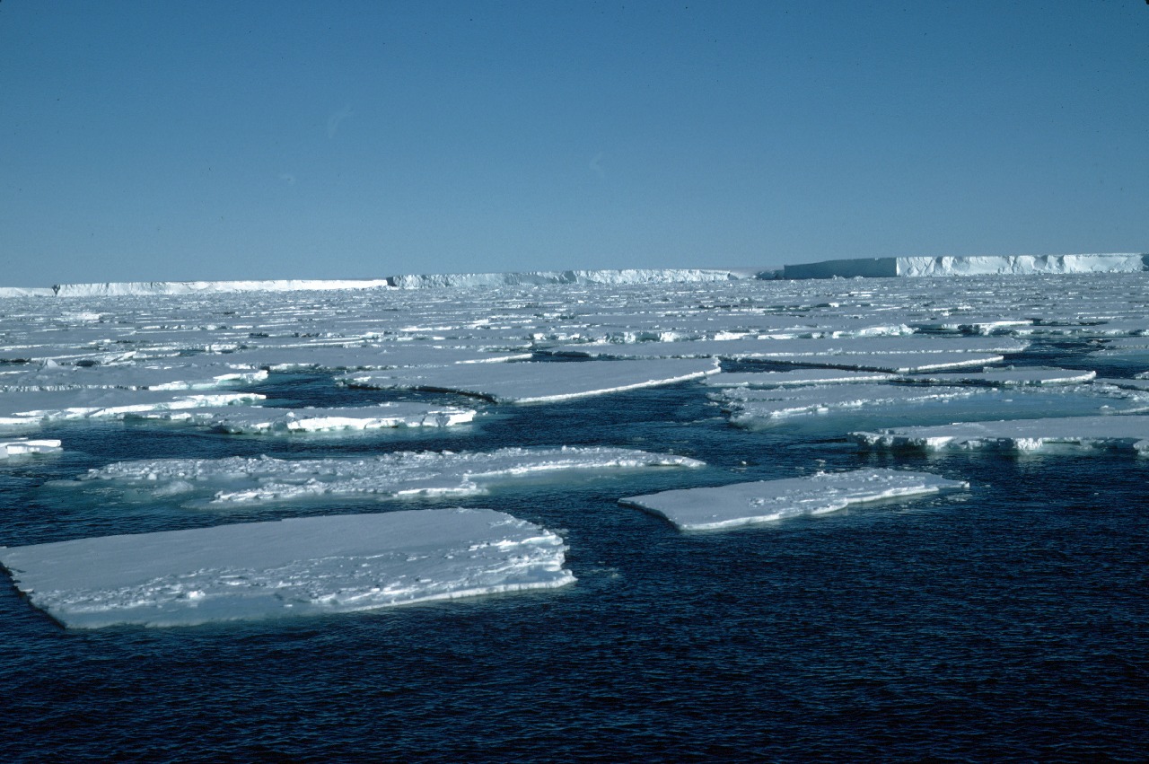 Pack ice infront of the Brunt Ice Shelf