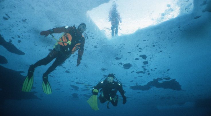 Divers under newly formed fast ice.