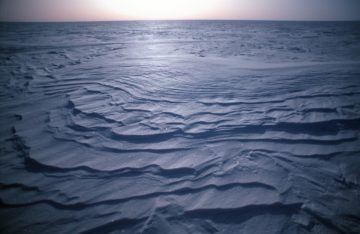 Water next to the ocean.