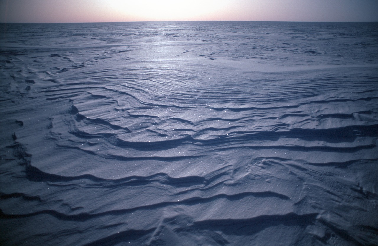 Water next to the ocean.