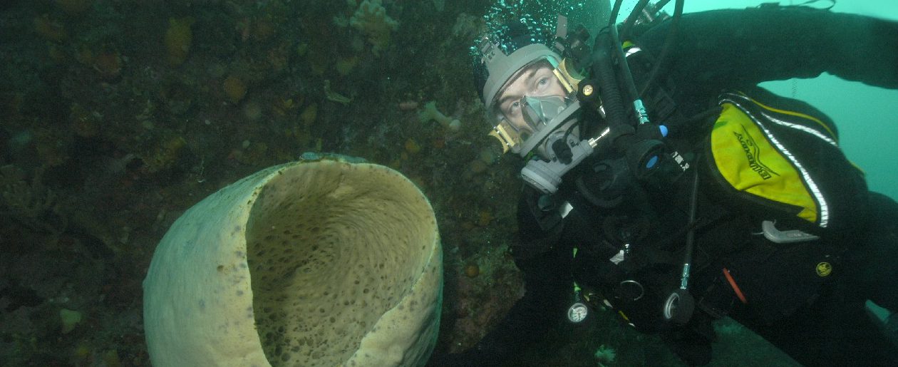 Bonner Laboratory and dive facility - British Antarctic Survey