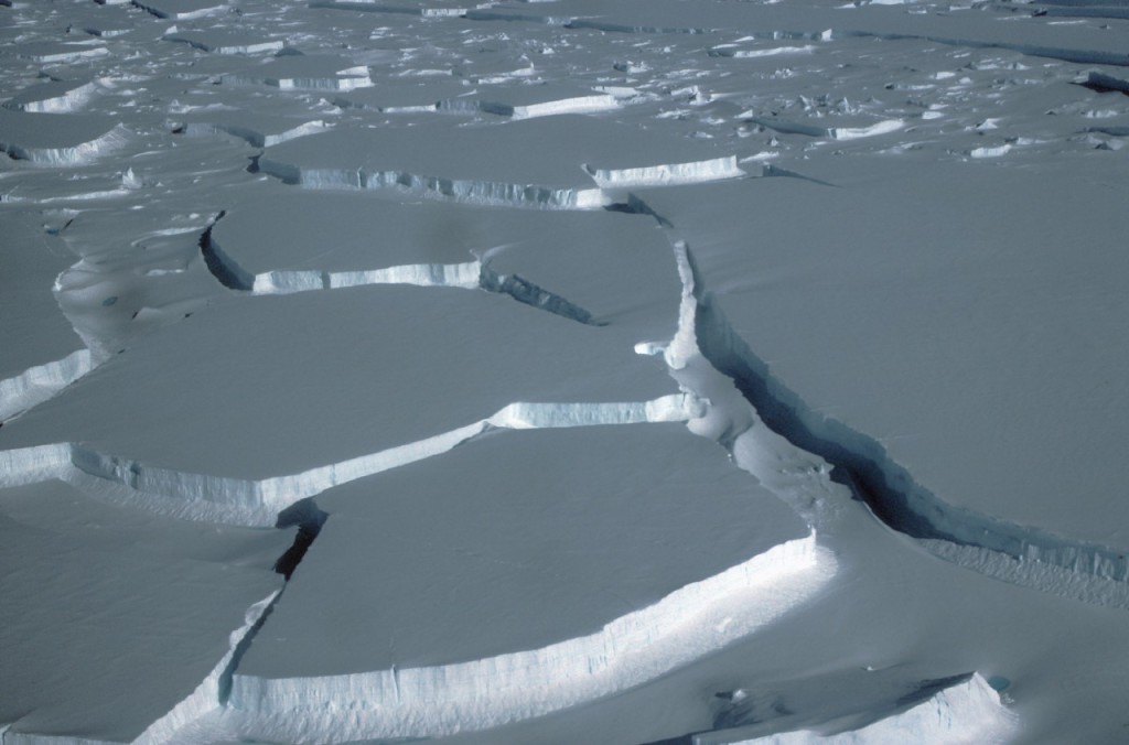 The break up of Wilkins Ice Shelf