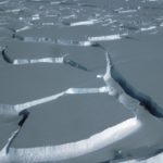 The break up of Wilkins Ice Shelf