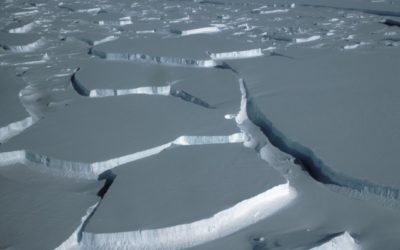 The break up of Wilkins Ice Shelf