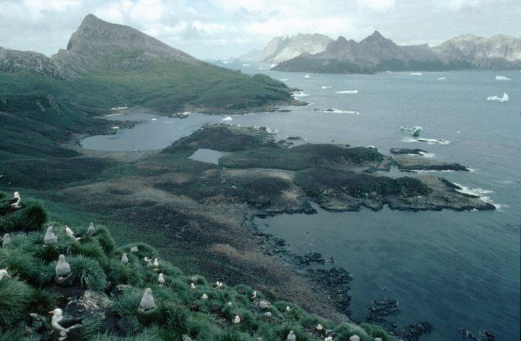 A large body of water with a mountain in the background.