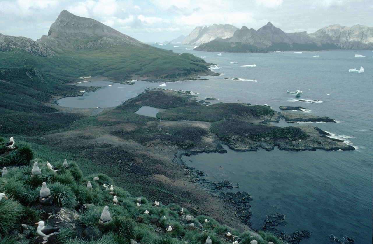 A large body of water with a mountain in the background.