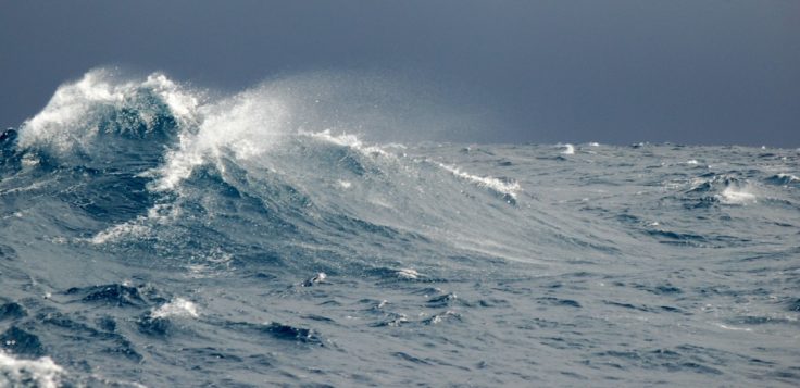 A large body of water.