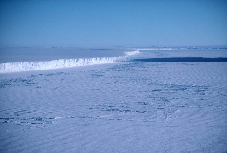 A large body of water.