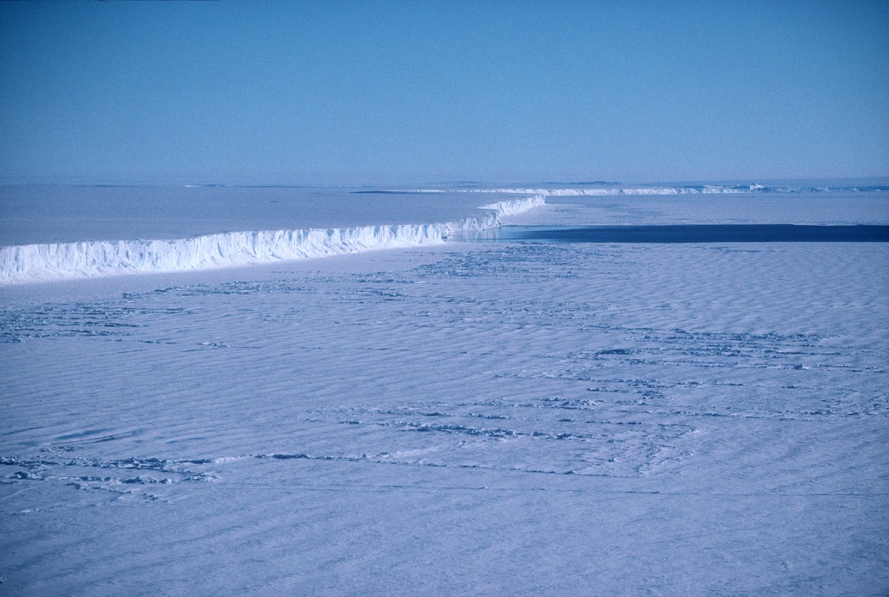 A large body of water.