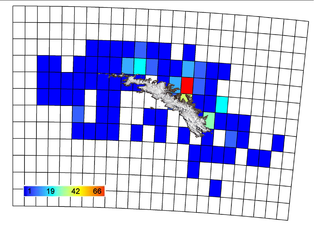 Map showing distribution of Mollsucs in South Georgia - data from South Georgia Marine Biodiversity Database (SGMarBase)