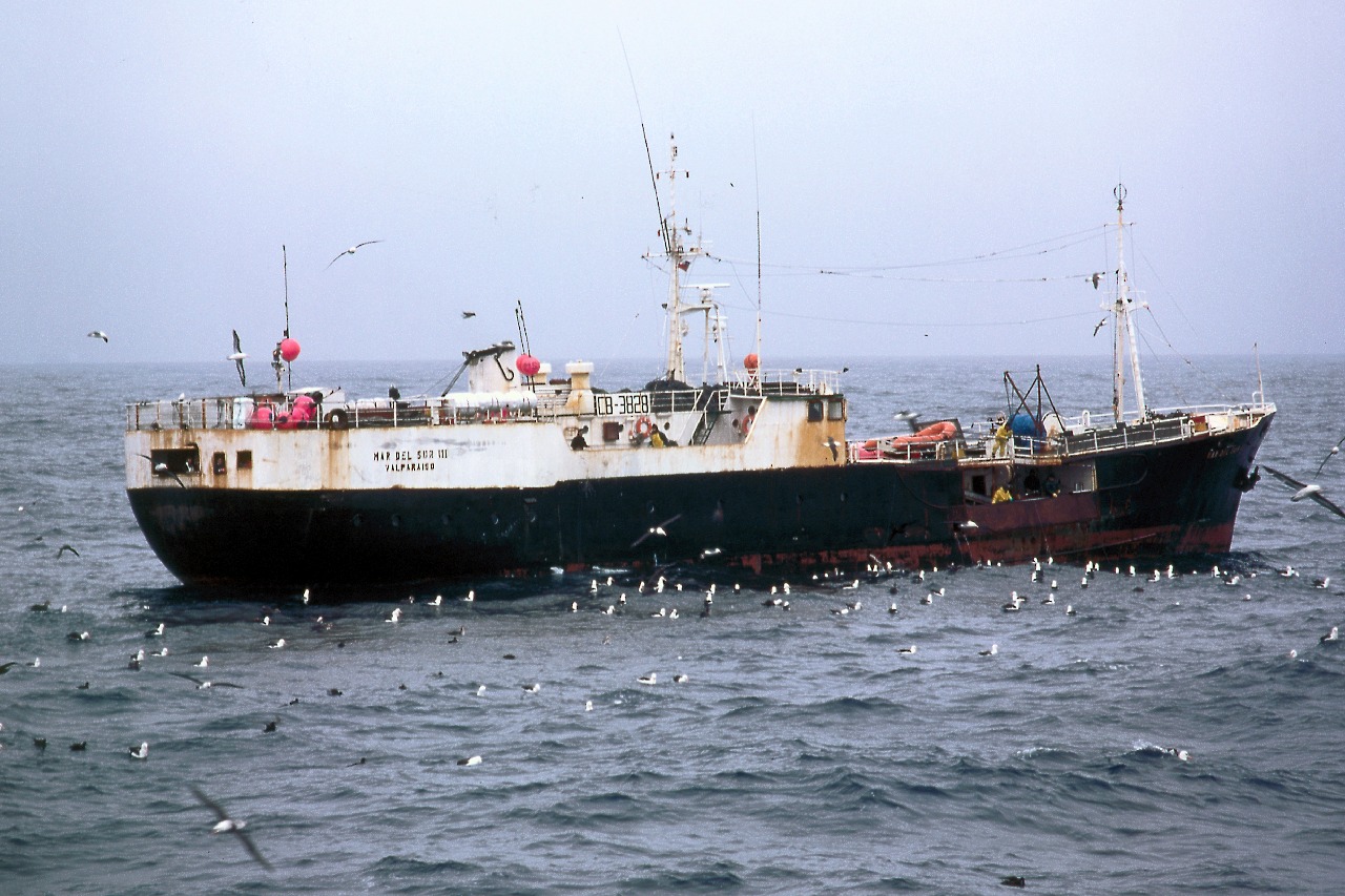 NEWS STORY Patagonian toothfish fishery British Antarctic Survey