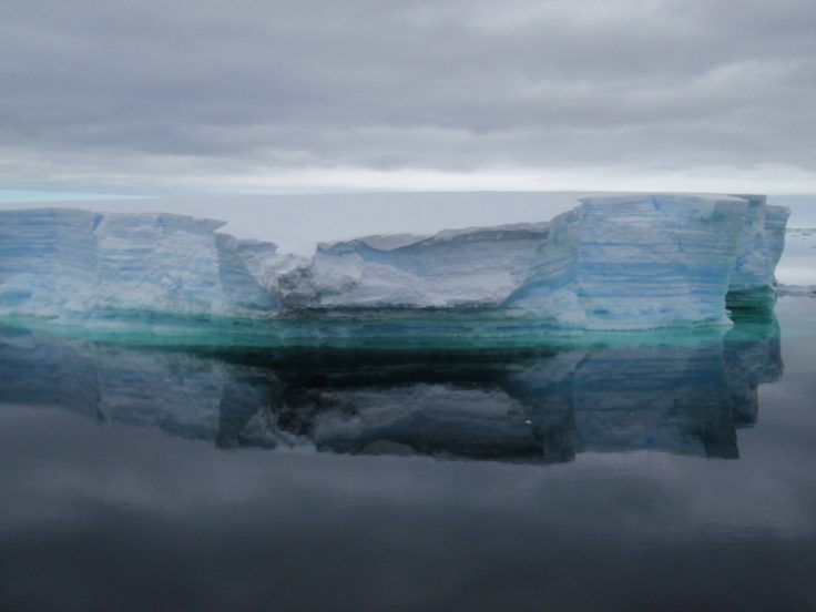 A large body of water.