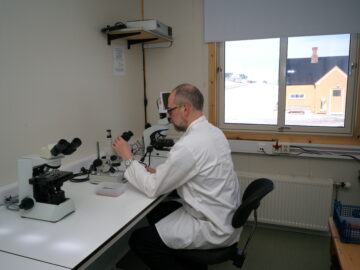 Person looking through microscope in laboratory